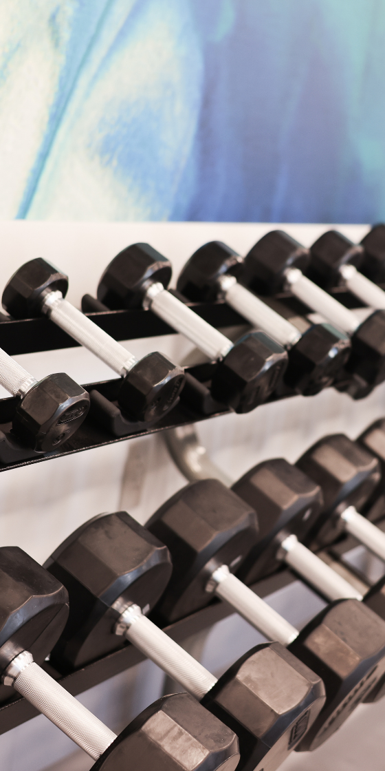 Physical therapy equipment