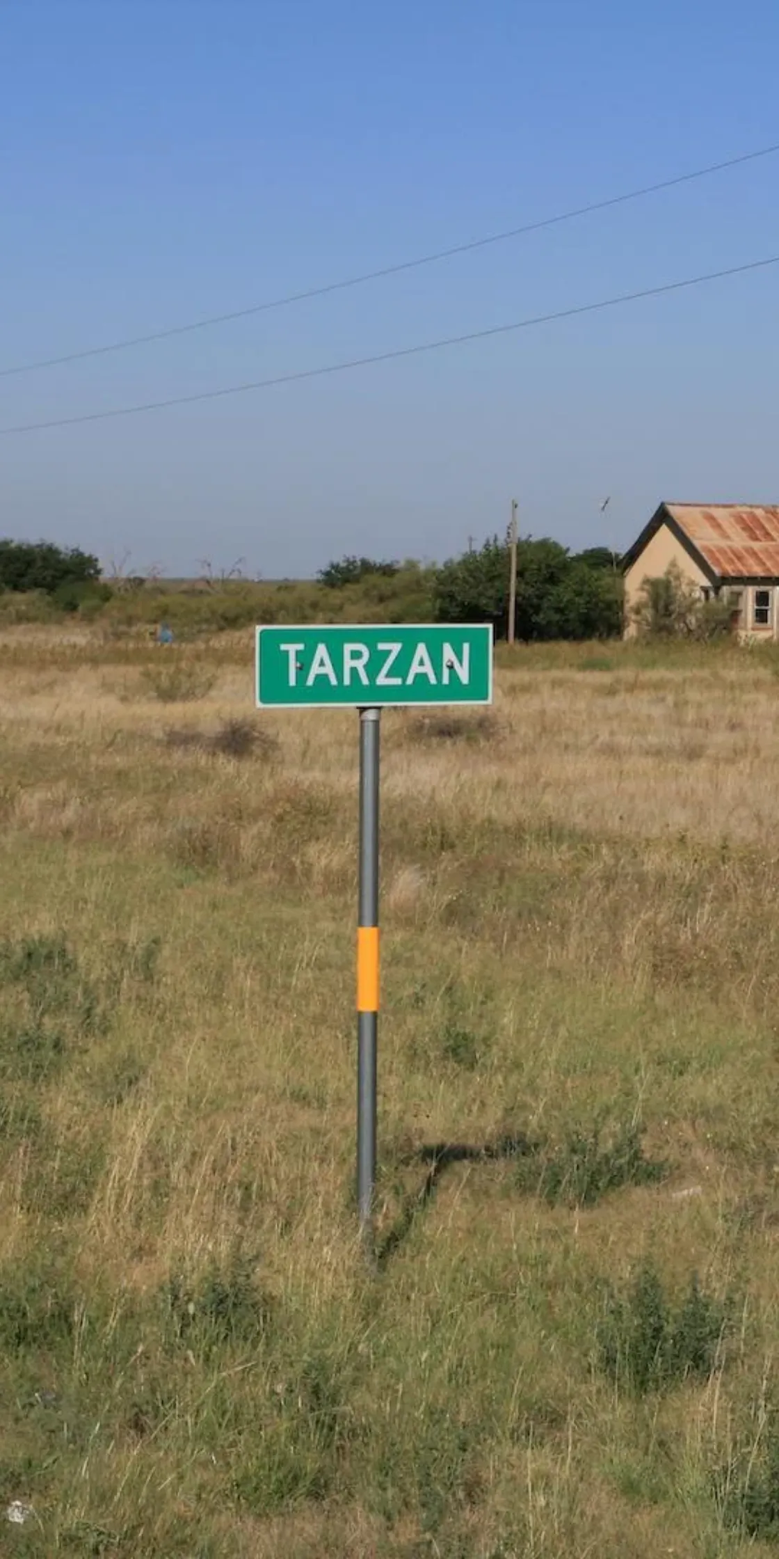 tarzan texas